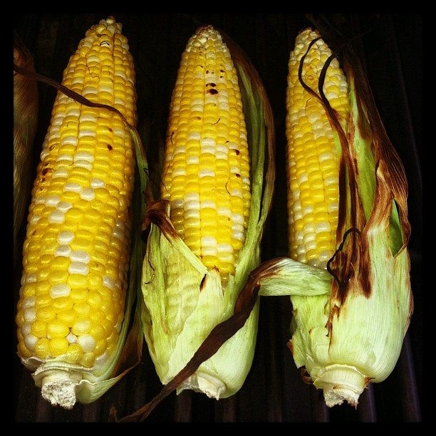 CORN!