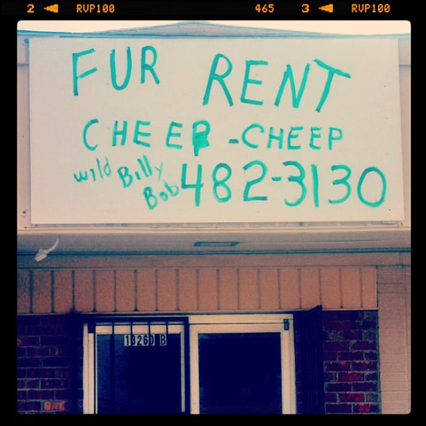 Fur Rent!