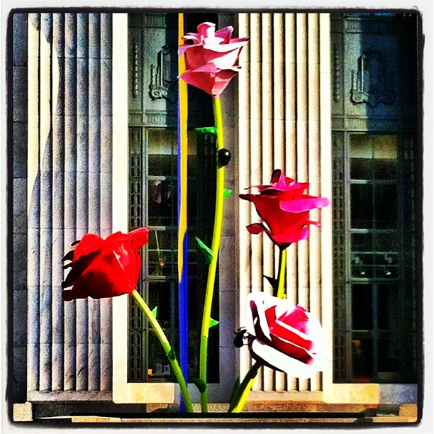 Rose On 65th Street