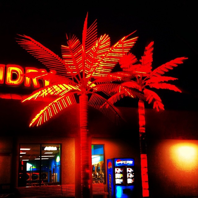 The Neon Palms