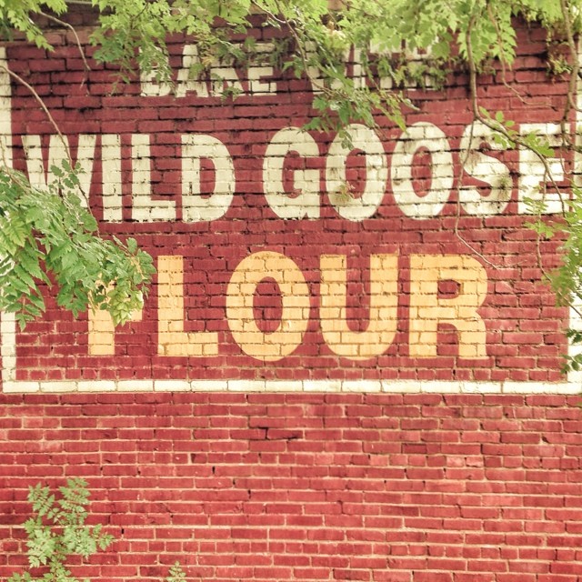 Wild Goose Chase