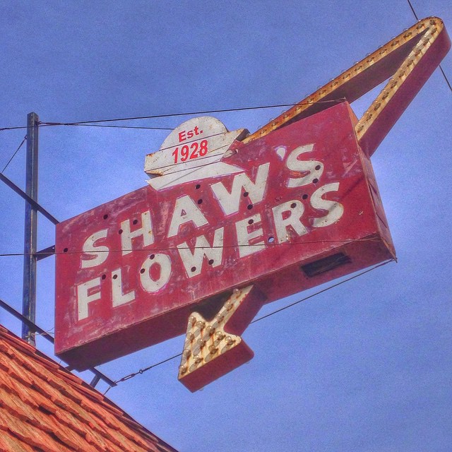 Shaw's Flowers