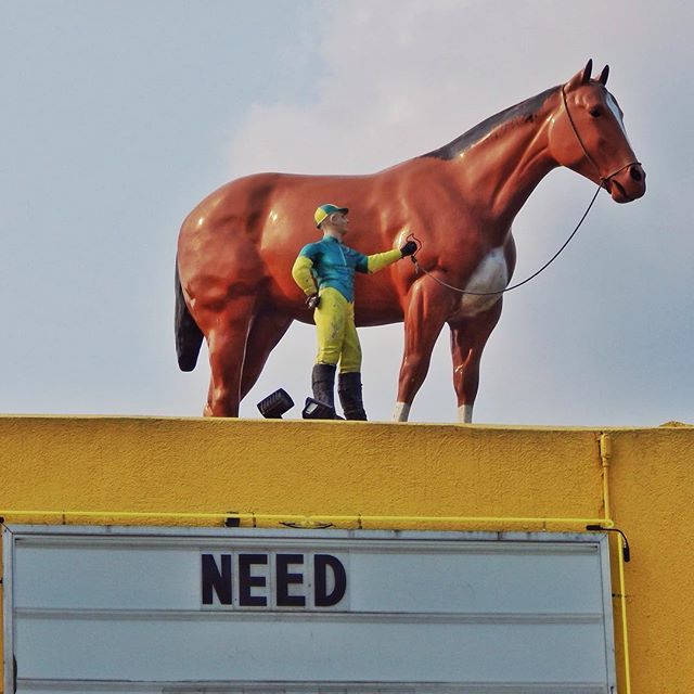 Tiny Jockey