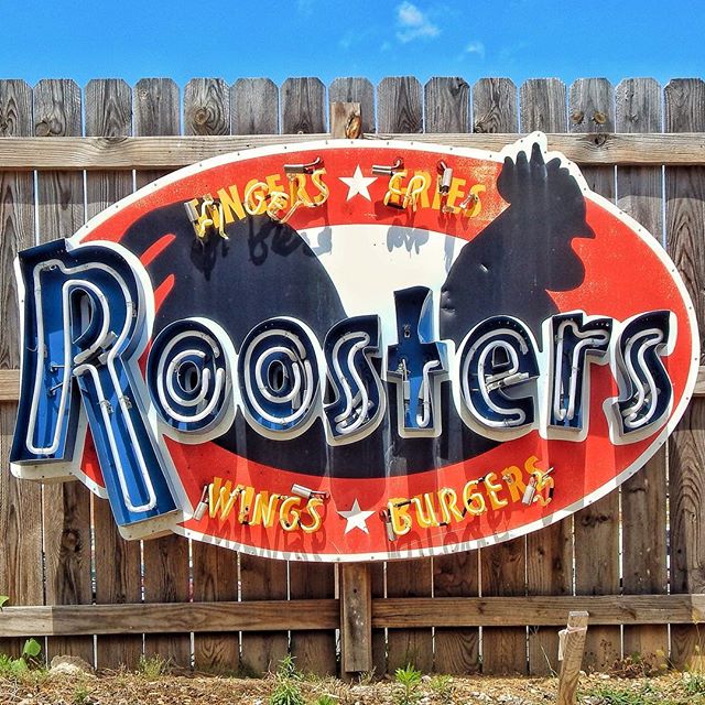 Roosters